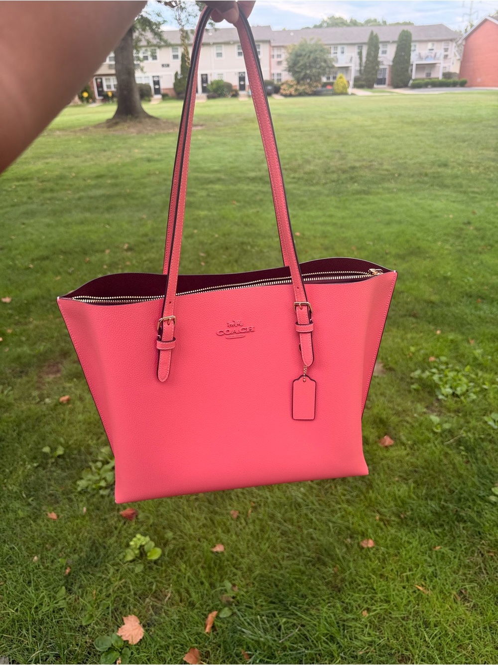 Coach Pink Large Molly Tote